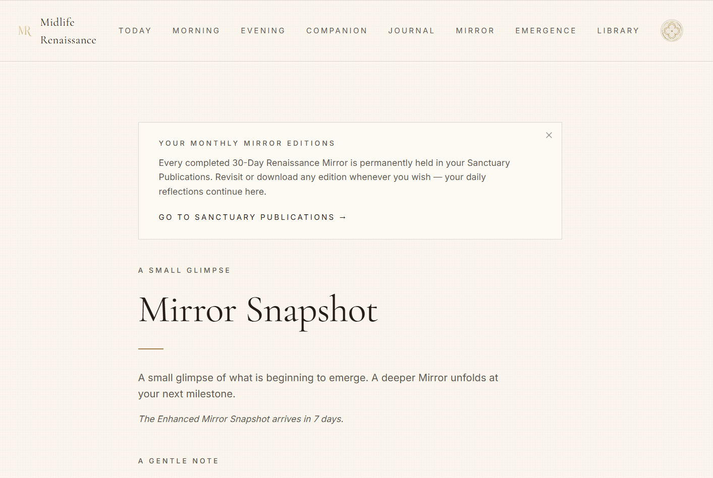 Mirror